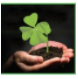ASOCIAȚIA GAL  ȚINUTUL VERDE