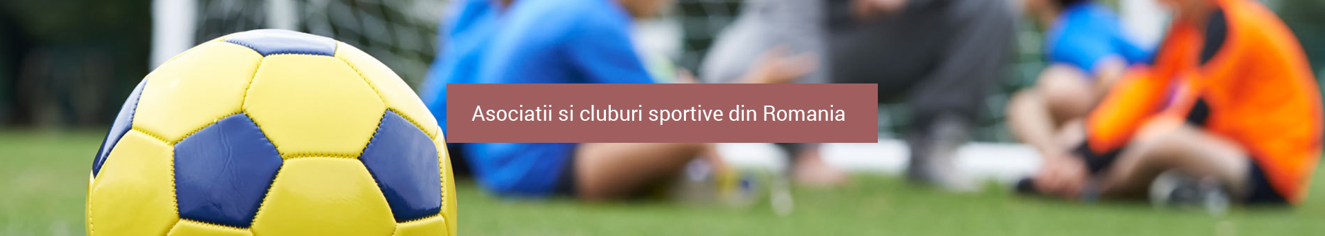 Asociatii si cluburi sportive din Romania